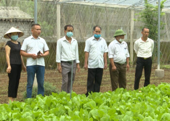 Kế hoạch thành lập hợp tác xã