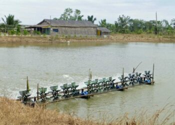 Chuyển đổi đất ao sang đất vườn