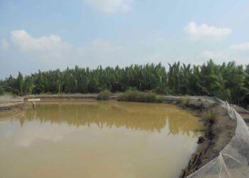 Phí chuyển đổi đất ao sang đất ở