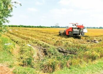 Chuyển đổi đất ruộng sang đất ở