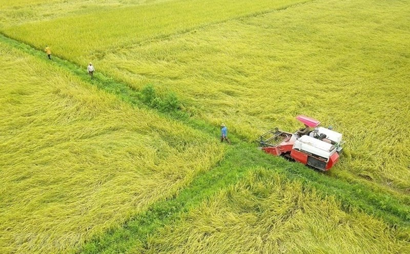 Chuyển đổi đất ruộng sang đất ở