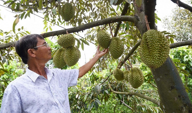 Mẫu hợp đồng xuất khẩu trái cây