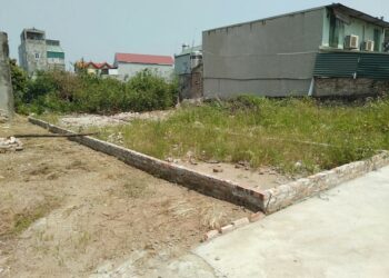 Quy định về quản lý đất công