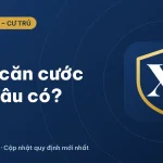 Làm căn cước công dân bao lâu có? Thời hạn cấp thẻ 2026