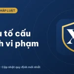 Các yếu tố cấu thành vi phạm pháp luật gồm những gì? (2026)