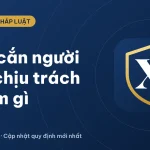 Chó cắn người: chủ chó phải chịu trách nhiệm gì? (2026)