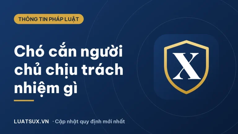 Chó cắn người: chủ chó phải chịu trách nhiệm gì? (2026)
