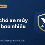 Chở chó bằng xe máy có bị phạt không? Mức phạt mới 2026