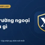Thị trường ngoại hối là gì? Chức năng và phân loại 2026