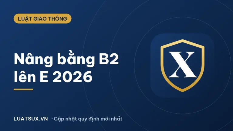 Nâng bằng B2 lên E: bằng B2 được 8 năm có được nâng không? (2026)