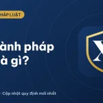 Thi hành pháp luật là gì? Cơ quan nào có quyền ban hành pháp luật