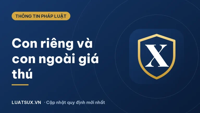 Con ngoài giá thú là gì? Con riêng có phải con ngoài giá thú?