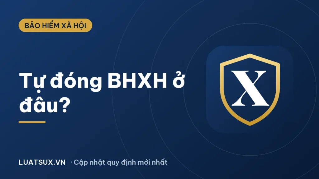 Cá nhân tự đóng bảo hiểm xã hội ở đâu? Hướng dẫn mới nhất 2026
