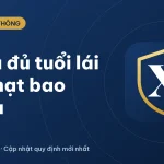 Chưa đủ tuổi lái xe phạt bao nhiêu? Dưới 16 tuổi đi xe máy 2026