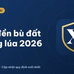 Giá đền bù đất trồng lúa 2026: Cách tính và các khoản hỗ trợ