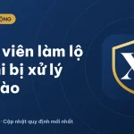 Lộ đề thi THPT: giáo viên làm lộ đề bị xử lý thế nào (2026)