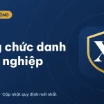 Hạng chức danh nghề nghiệp viên chức là gì? Cập nhật 2026