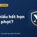 Hộ chiếu hết hạn có bị phạt không? Quy định mới 2026