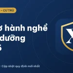 Chứng chỉ hành nghề điều dưỡng 2026: Hồ sơ gồm những gì?