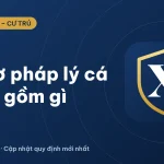 Hồ sơ pháp lý cá nhân gồm những gì theo luật (cập nhật 2026)