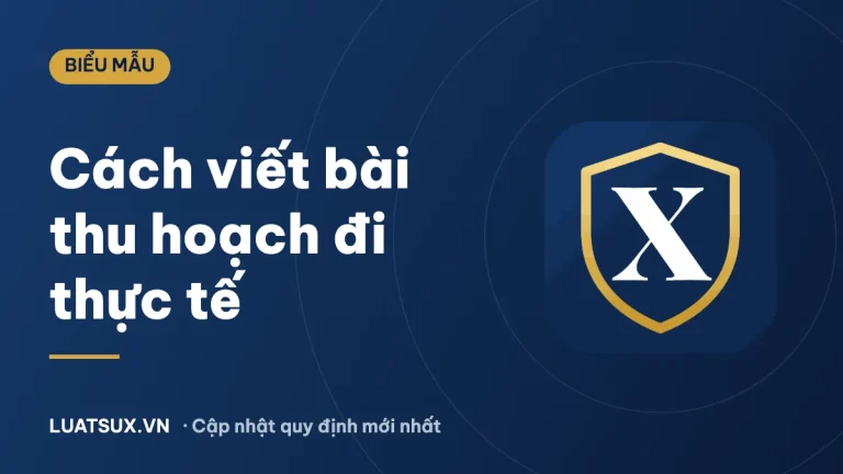 Cách viết bài thu hoạch sau khi đi thực tế mới nhất 2026 (kèm mẫu)