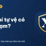 Vũ khí tự vệ: Mang loại nào không vi phạm pháp luật? (2026)