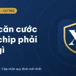 Cách tìm căn cước công dân bị mất: chip có định vị được không?