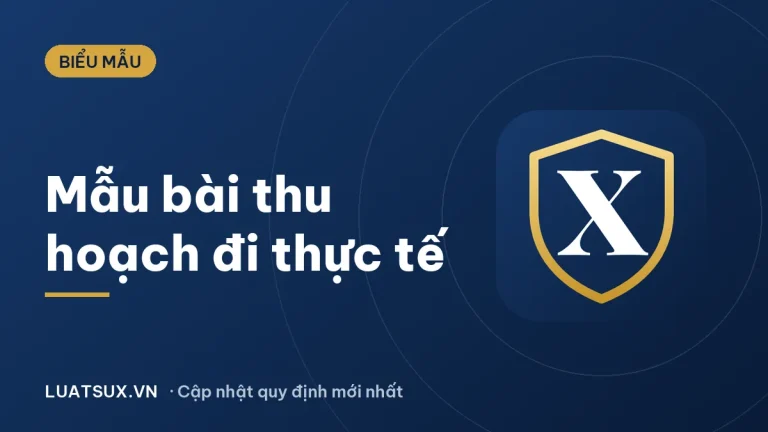 Mẫu bài thu hoạch đi thực tế mới nhất 2026 kèm 3 bài mẫu