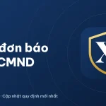 Mẫu đơn báo mất CMND, căn cước: đơn cớ mất 2026