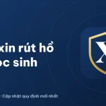 Đơn xin rút hồ sơ học sinh: Mẫu chuẩn và hướng dẫn 2026