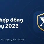 Mẫu hợp đồng dân sự mới nhất 2026: mua bán, vay tiền, thuê tài sản