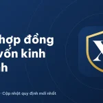 Hợp đồng góp vốn kinh doanh giữa hai cá nhân: mẫu mới 2026