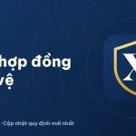 Hợp đồng bảo vệ: mẫu khoán việc, dịch vụ bảo vệ 2026