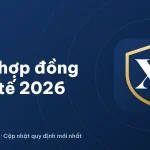 Hợp đồng kinh tế: mẫu thông dụng, chính xác nhất 2026