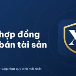 Hợp đồng mua bán tài sản: mẫu mới nhất 2026 và cách soạn