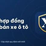 Hợp đồng mua bán xe ô tô cũ, mới – Mẫu chuẩn 2026