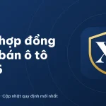 Giấy mua bán xe ô tô 2026: Mẫu hợp đồng chuẩn công chứng