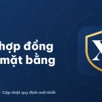 Mẫu hợp đồng cho thuê mặt bằng 2026 mới nhất, đầy đủ