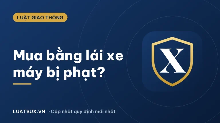 Mua bằng lái xe máy có bị phạt không? Hậu quả pháp lý 2026