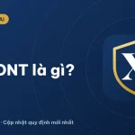 Đất ONT là gì? Ký hiệu, hạn mức, thời hạn sử dụng 2026