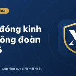 Mức đóng kinh phí công đoàn và đoàn phí công đoàn 2026
