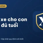 Giao xe cho người không đủ điều kiện phạt bao nhiêu? Mức phạt 2026