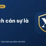 Cán sự là gì? Ngạch cán sự công chức, mã ngạch, lương 2026
