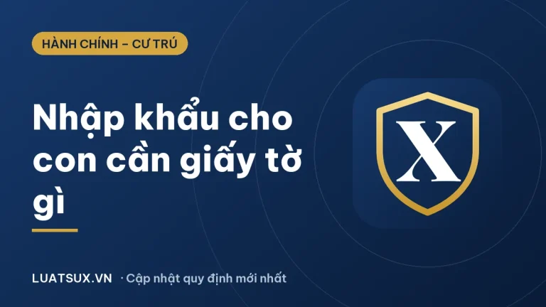 Nhập khẩu cho con cần giấy tờ gì? Hồ sơ mới nhất 2026