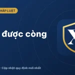 Còng số 8: nhặt được phải làm sao? Quy định mới 2026