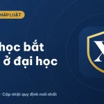 Đại cương là gì? Những môn học bắt buộc ở đại học 2026
