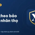 Vay theo bảo hiểm nhân thọ: ngân hàng nào cho vay, điều kiện 2026