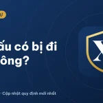 Nợ xấu công ty tài chính có bị đi tù không? Quy định 2026