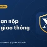 Nộp phạt vi phạm giao thông trễ hạn 1 năm bị xử lý thế nào?
