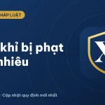 Mua khỉ con, nuôi khỉ làm thú cưng bị phạt bao nhiêu tiền 2026